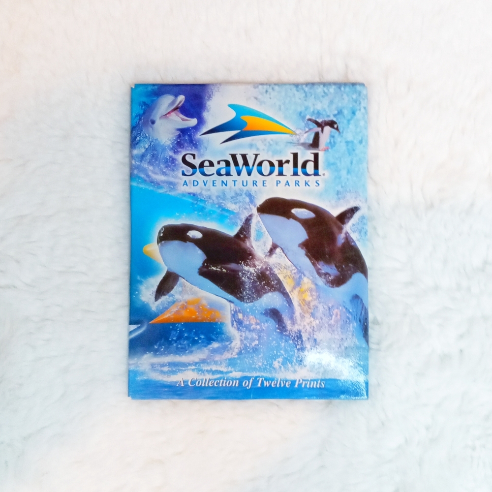 💮3/$20💮 12 pcs Vintage SeaWorld Shamu Postcards